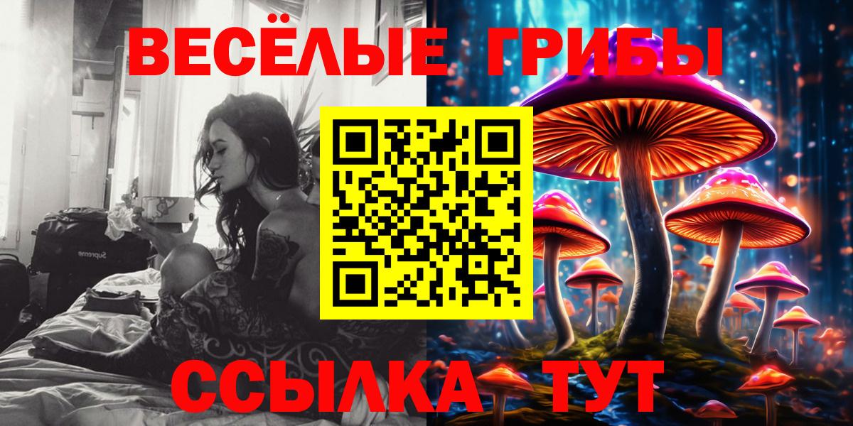 Сибай  Псилоцибиновые грибы Psilocybine cubensis  Вход с VPN 